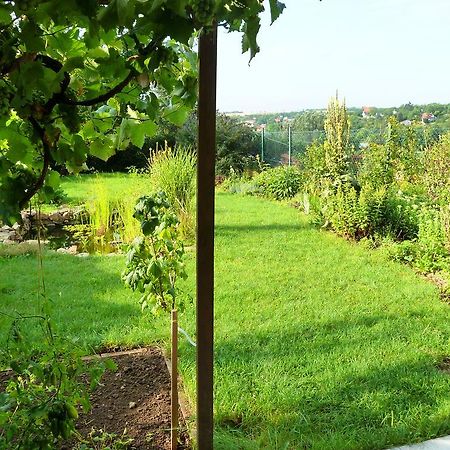 Ubytování Vinohrady 73 Znojmo Esterno foto