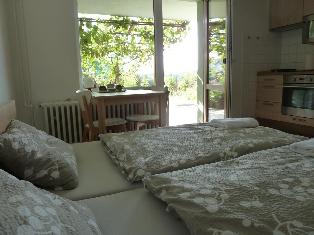 Ubytování Vinohrady 73 Znojmo Esterno foto
